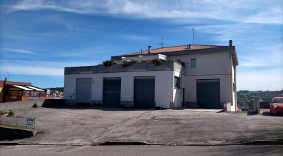 Shop / premises commercial of 219 m² in Ancona (60131)