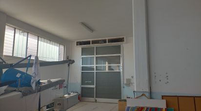 Shop / premises commercial of 219 m² in Ancona (60131)