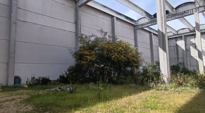 Warehouse of 2,014 m² in Olbia (07026)