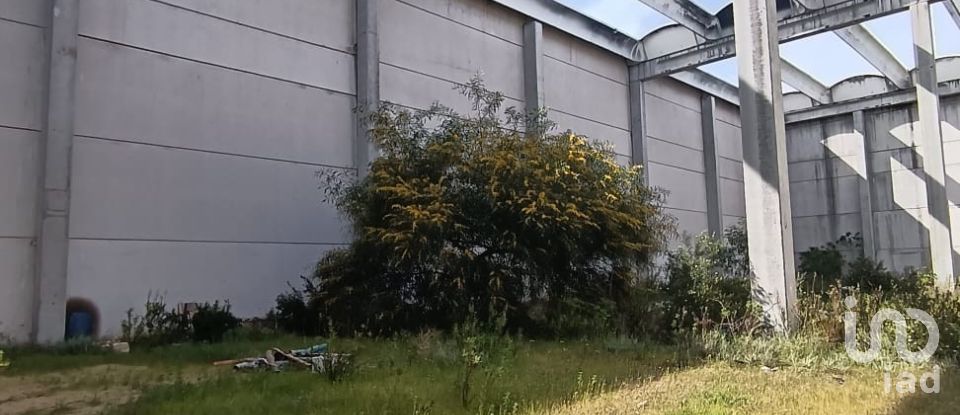 Warehouse of 2,014 m² in Olbia (07026)