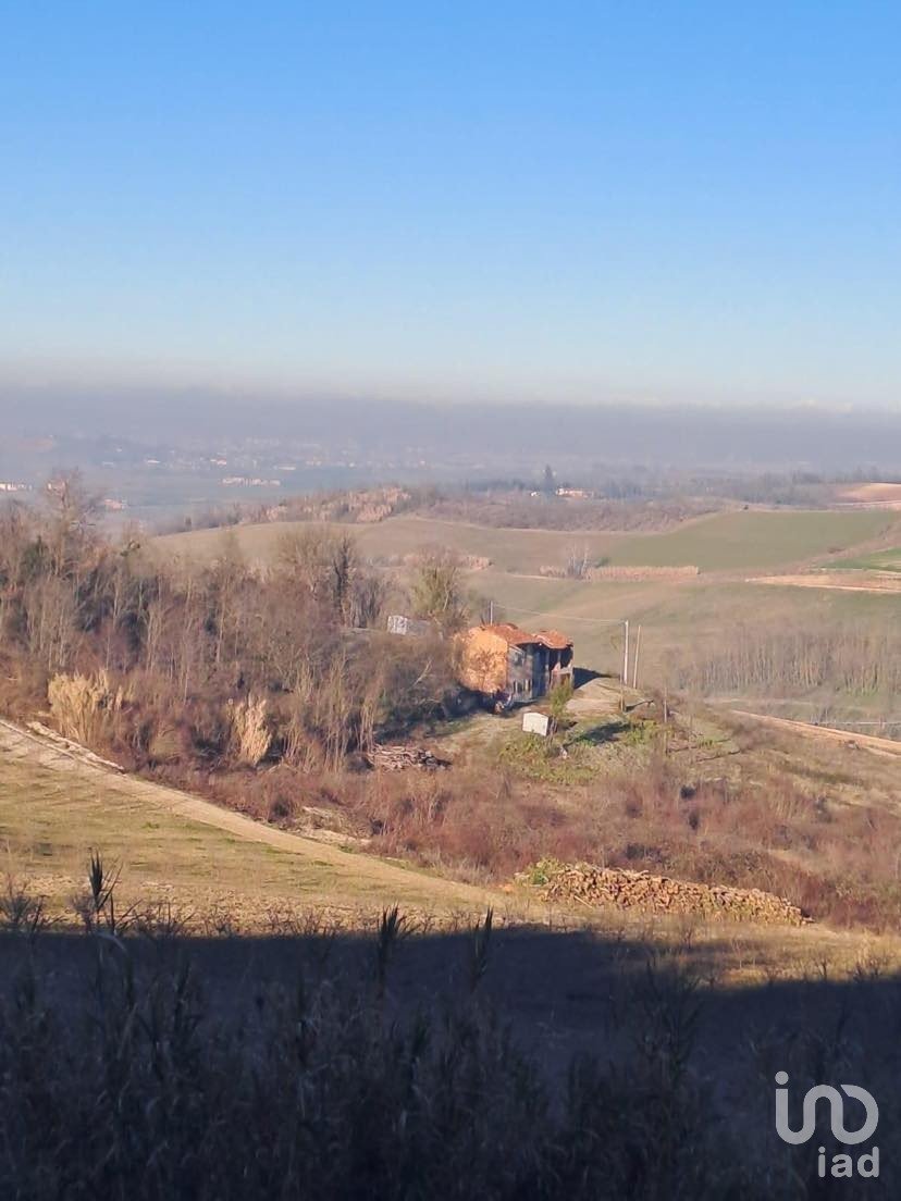 Agricultural land of 32,000 m² in Cuccaro Monferrato (15037)