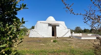 Trullo 1 locale di 36 m² in Carovigno (72012)