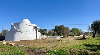 Trullo 1 locale di 36 m² in Carovigno (72012)