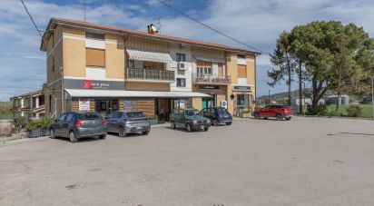 Tabacchi di 20 m² in Montelupone (62010)