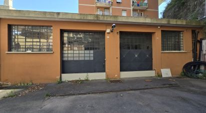 Negozio / locale commerciale di 575 m² in Genova (16138)