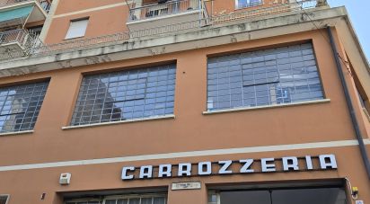 Shop / premises commercial of 575 m² in Genova (16138)
