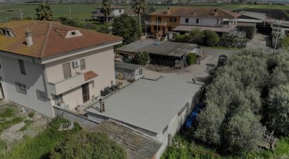 Rustico 8 locali di 158 m² in Pontinia (04014)