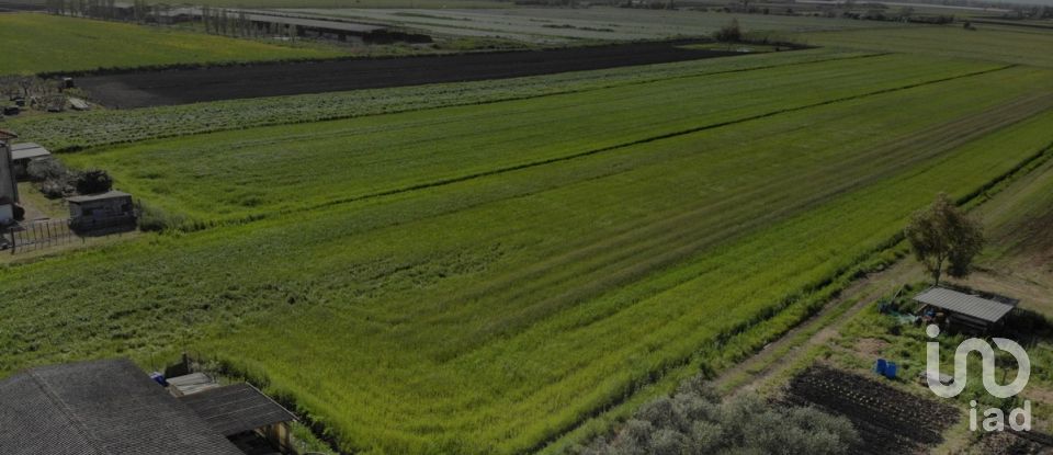 Rustico 8 locali di 158 m² in Pontinia (04014)