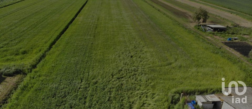 Rustico 8 locali di 158 m² in Pontinia (04014)