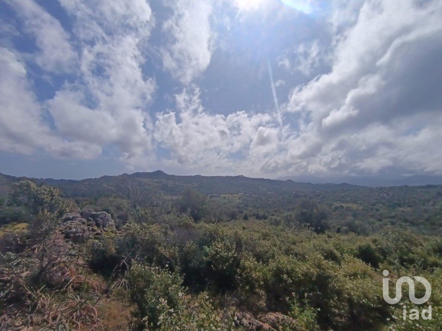 Land of 32,970 m² in Olbia (07026)