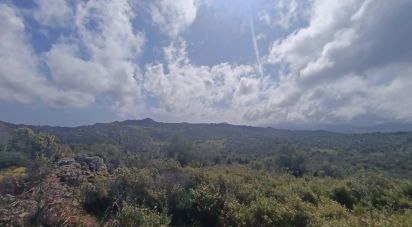 Terreno di 32.970 m² in Olbia (07026)
