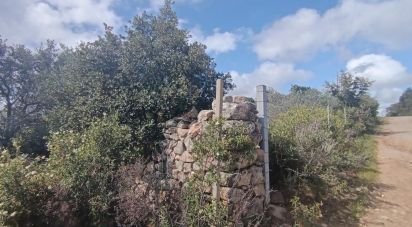 Terreno di 32.970 m² in Olbia (07026)