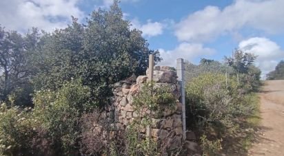 Land of 32,970 m² in Olbia (07026)