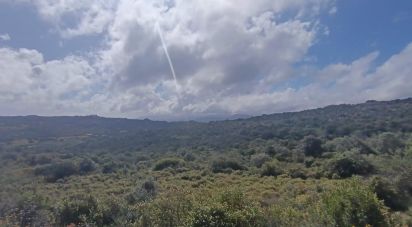 Terreno di 32.970 m² in Olbia (07026)