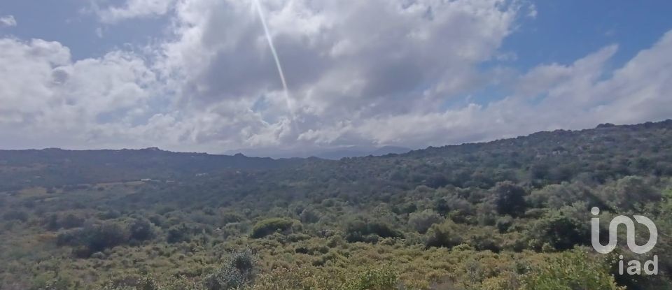 Terreno di 32.970 m² in Olbia (07026)