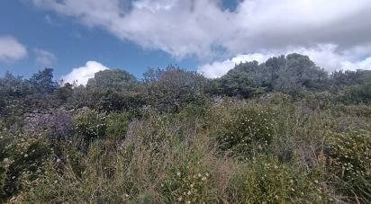 Terreno di 32.970 m² in Olbia (07026)