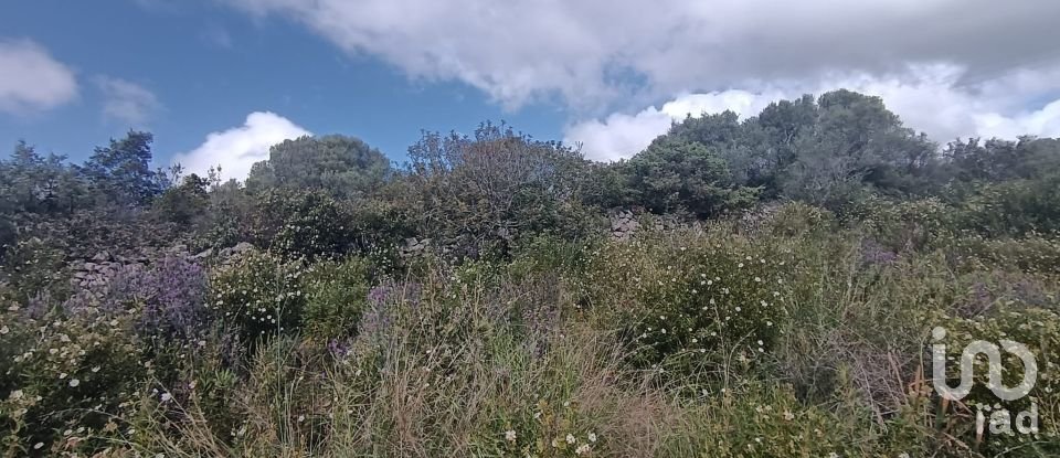 Terreno di 32.970 m² in Olbia (07026)