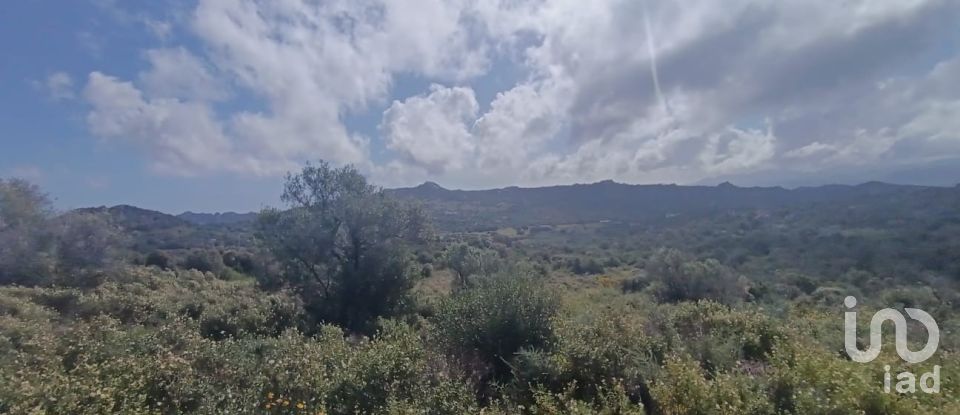 Terreno di 32.970 m² in Olbia (07026)