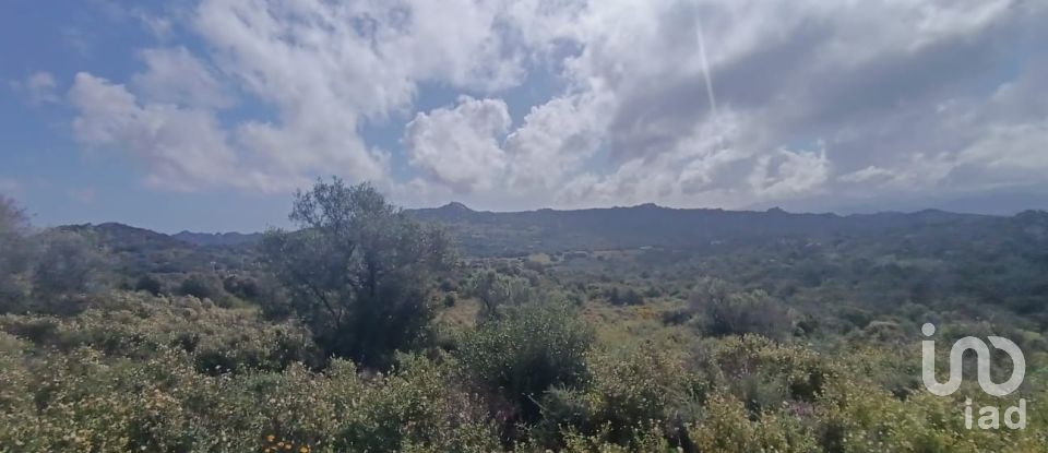 Terreno di 32.970 m² in Olbia (07026)