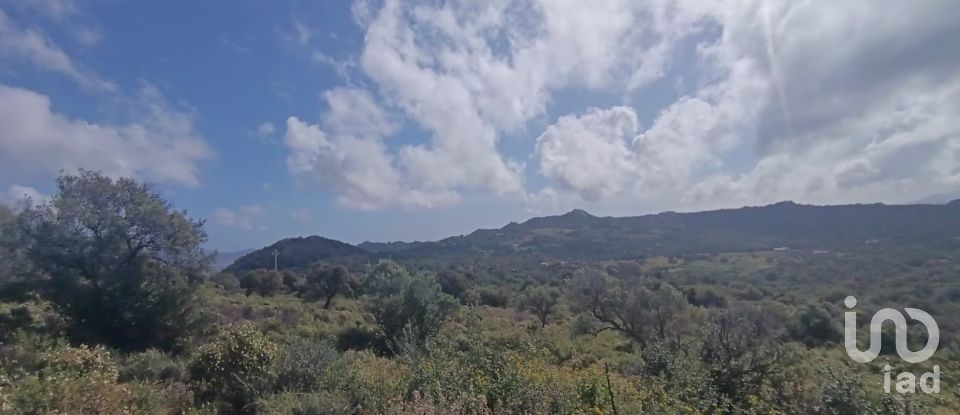 Terreno di 32.970 m² in Olbia (07026)