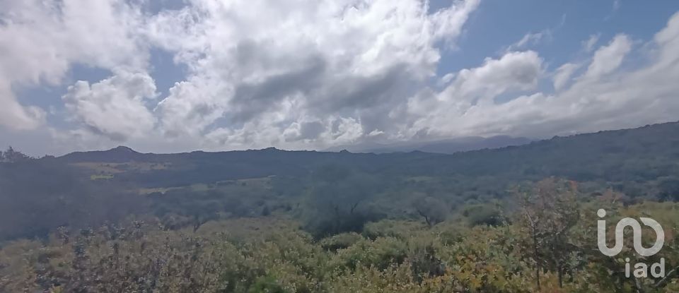 Terreno di 32.970 m² in Olbia (07026)