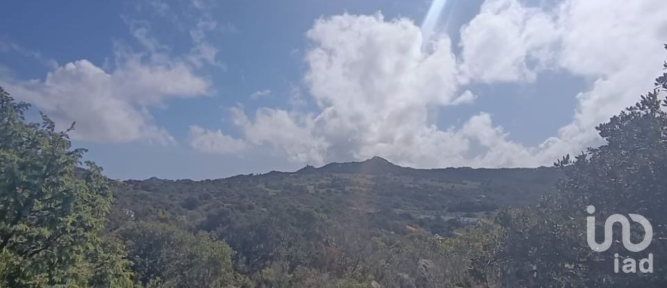 Terreno di 32.970 m² in Olbia (07026)