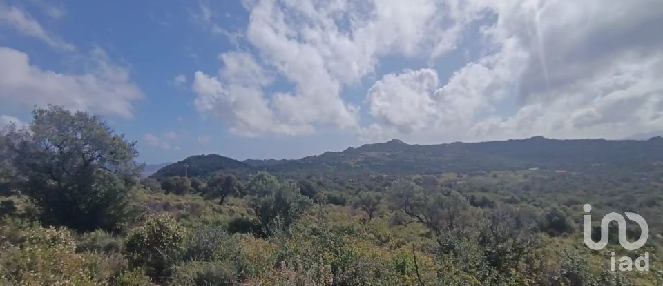 Terreno di 32.970 m² in Olbia (07026)