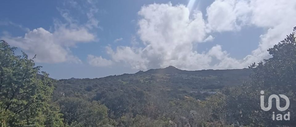 Terreno di 32.970 m² in Olbia (07026)