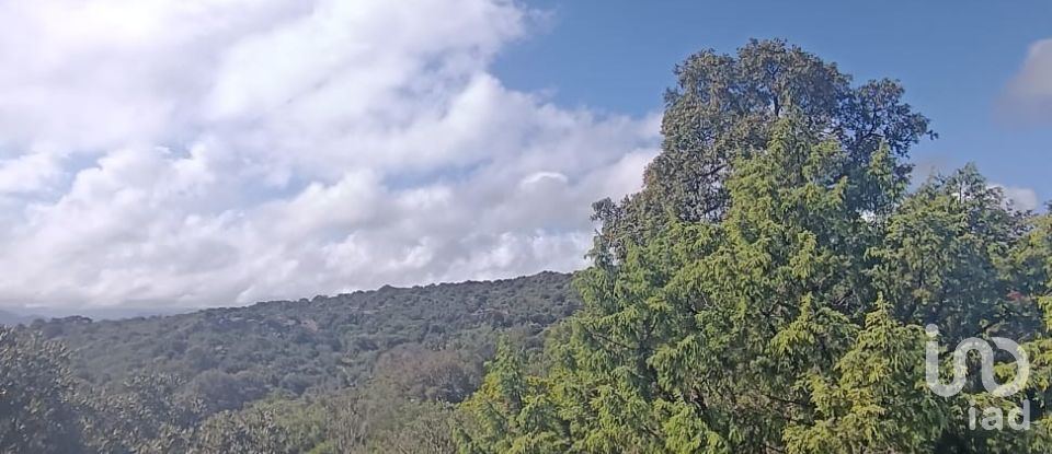 Terreno di 32.970 m² in Olbia (07026)