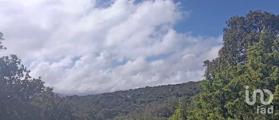 Terreno di 32.970 m² in Olbia (07026)