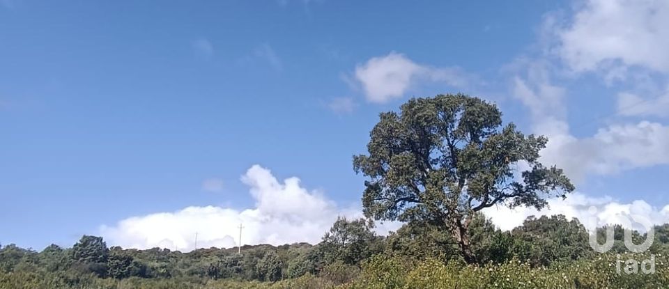 Terreno di 32.970 m² in Olbia (07026)