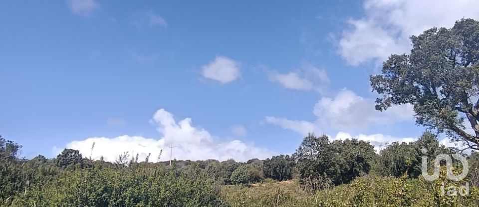 Terreno di 32.970 m² in Olbia (07026)