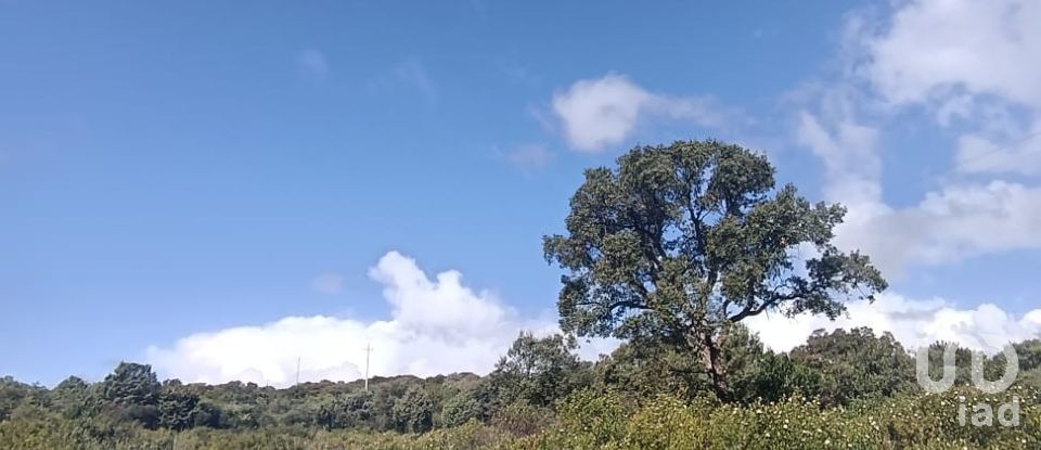 Terreno di 32.970 m² in Olbia (07026)