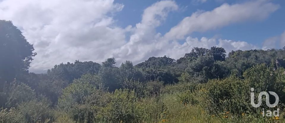 Terreno di 32.970 m² in Olbia (07026)