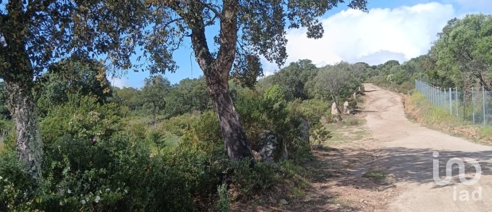 Terreno di 32.970 m² in Olbia (07026)
