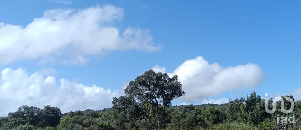 Terreno di 32.970 m² in Olbia (07026)