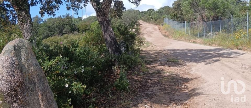 Terreno di 32.970 m² in Olbia (07026)