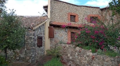 Costruzione di 925 m² in Olbia (07026)