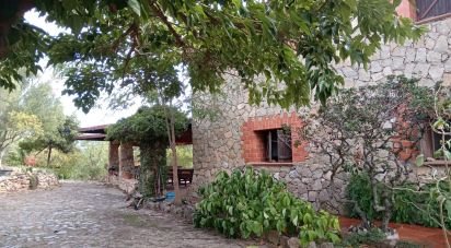 Costruzione di 925 m² in Olbia (07026)