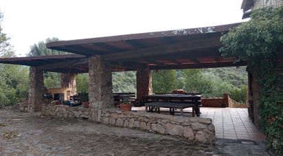 Costruzione di 925 m² in Olbia (07026)