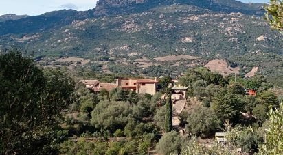 Costruzione di 925 m² in Olbia (07026)