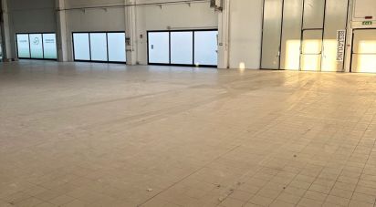 Warehouse of 1,570 m² in Meda (20821)