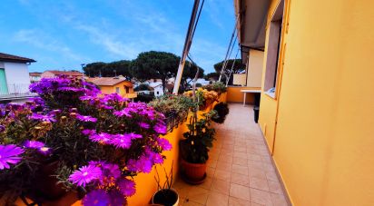 Appartamento 5 locali di 81 m² a Rosignano Marittimo (57016)