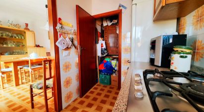 Appartamento 5 locali di 81 m² a Rosignano Marittimo (57016)