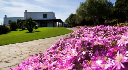 Casale 10 locali di 210 m² in Carloforte (09014)