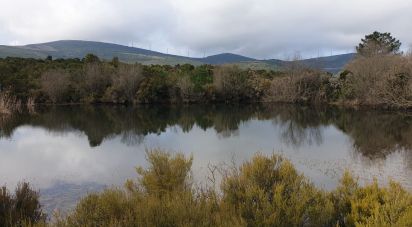 Terreno di 470.000 m² in Aggius (07020)