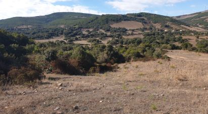 Terreno di 470.000 m² in Aggius (07020)