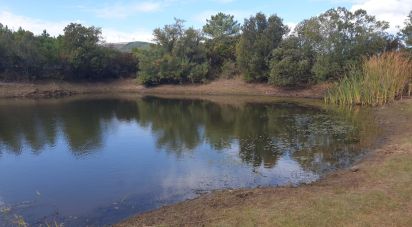 Terreno di 470.000 m² in Aggius (07020)