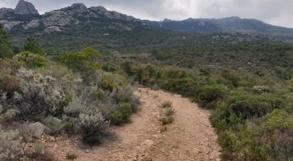 Terreno di 470.000 m² in Aggius (07020)