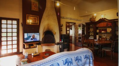 Villa Bifamiliare 12 locali di 276 m² in Anzio (00042)